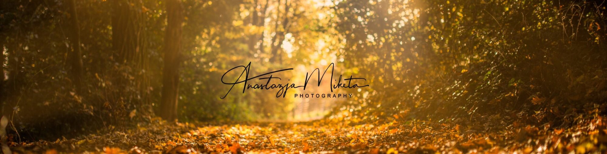 Yellow Brown Autumn Typography Facebook Cover
